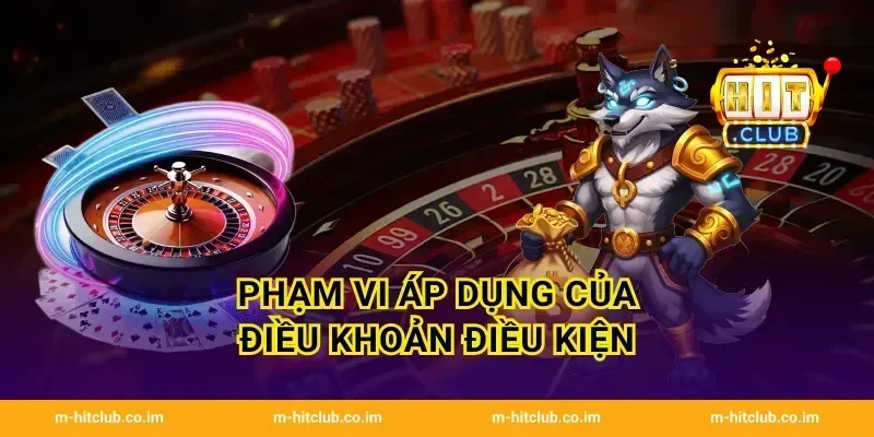 Phạm vi áp dụng của Điều khoản điều kiện